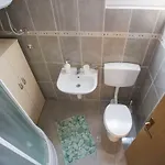 Opetuk *